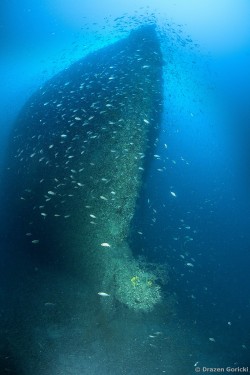 Re d Italia IMG 4889 2