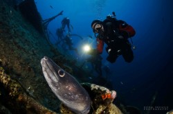 Teti 6 Diving centre B 24 Vis Croatia 1030x684