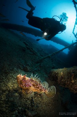 Teti 5 Diving centre B 24 Vis Croatia 684x1030