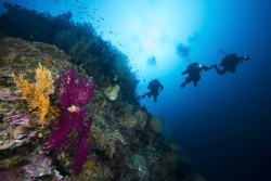 techdivers2 1030x686